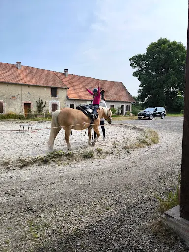 Cheval And Co
