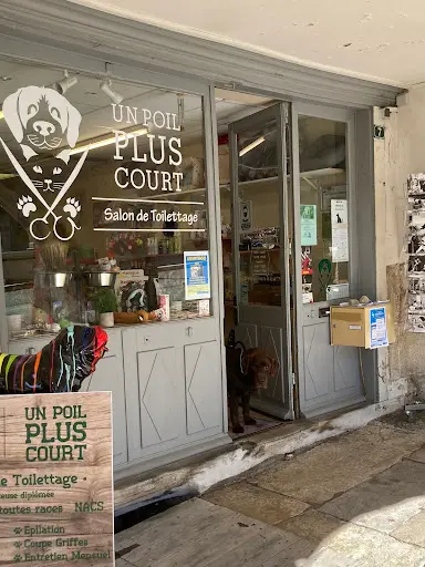 Toilettage Un Poil Plus Court