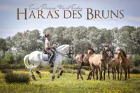Élevage Marie Tardieu - Haras des Bruns - Manade Tardieu