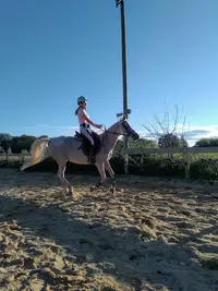 Haras d'Anibert