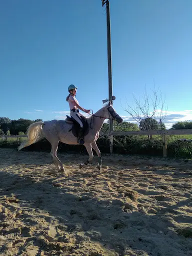 Haras d'Anibert