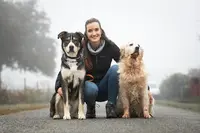 Humalia - Éducateur Canin et Comportementaliste