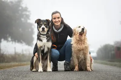 Humalia - Éducateur Canin et Comportementaliste