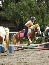 Écurie d'au Grand Galop