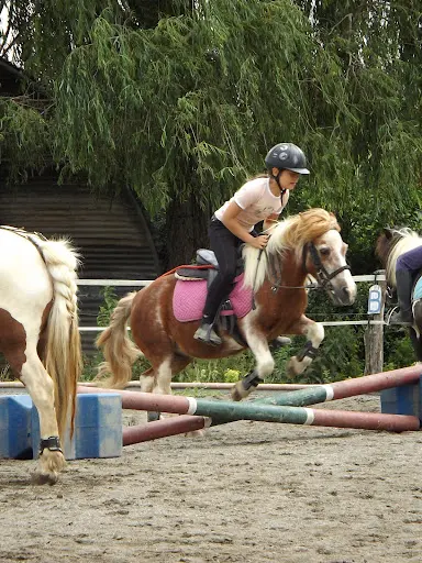 Écurie d'au Grand Galop