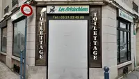 Les Aristochiens