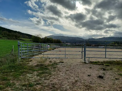 Sun Spirit Ranch