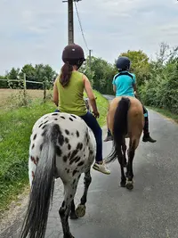 Les Ecuries du Lys, Équitation Perfectionnement, Compétitions