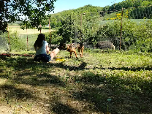 Centre Canin Toi Mon Ami