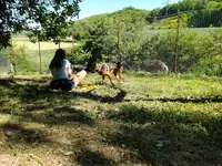 Centre Canin Toi Mon Ami