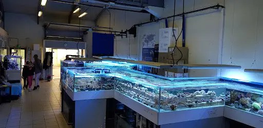 Marinehome