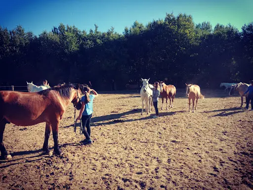 Les Chevaux du Verdon