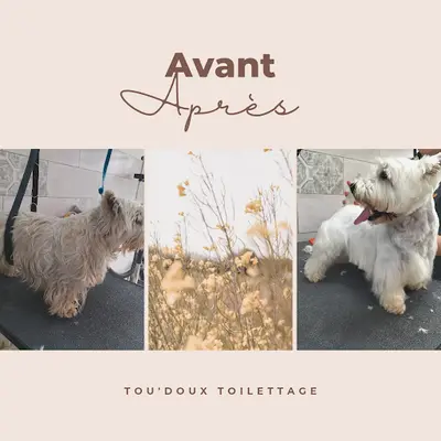 Tou Doux Toilettage