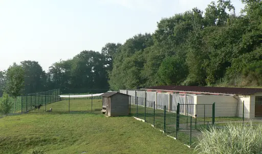 Pension Canine Los Pelluts