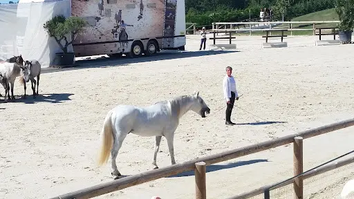 Centre Equestre Sainte Hélène