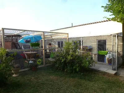 l'Arche de Corinne