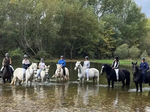 Elevage du Boulonnais