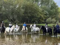 Elevage du Boulonnais