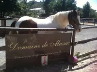 Domaine de Massac