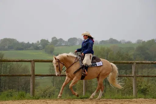Cecile Mahé Reinhill Ranch, la Heroudiere, la Carneille, 61100