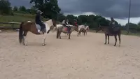 Centre Equestre de la Lys