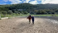 A Deux Pas Equitherapie
