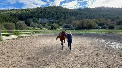 A Deux Pas Equitherapie