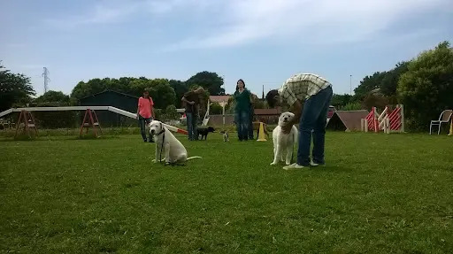 Centre d'Éducation Canine d'Aubagne