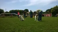 Centre d'Éducation Canine d'Aubagne