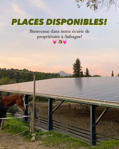 Ecurie des Pins & Elevage de Premol