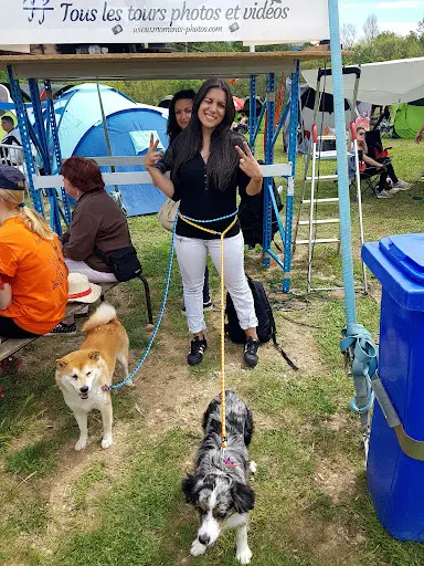 Scce Club Canin