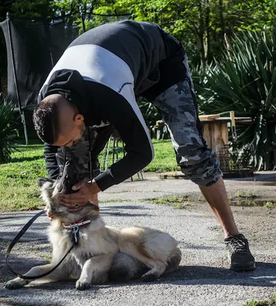 Sym Dog - Éducation Canine