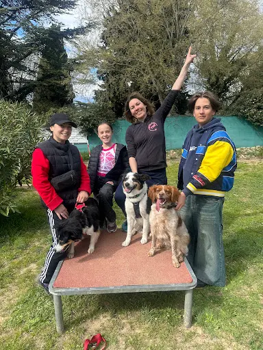 Yelsy Dog & Yelsy Dog Academy