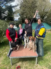 Yelsy Dog & Yelsy Dog Academy