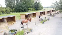 Les Écuries des 4 Terres