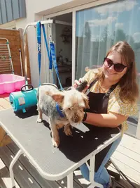 Panache et Moustache - Toilettage À Domicile Chien Chat