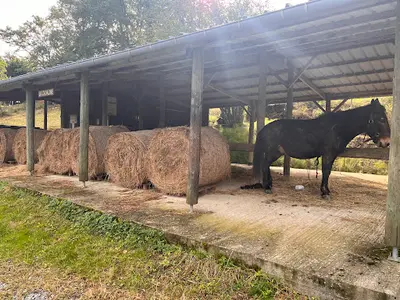 La Cabaline