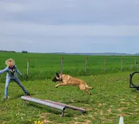 Dog S Services - Éducateur Canin
