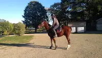 l'Ecrin Auscitain