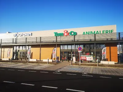Tom&co Auchy les Mines - Dogform