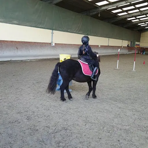 Horse Club