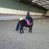 Horse Club