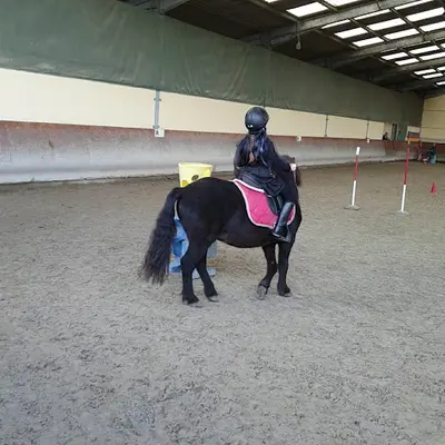 Horse Club