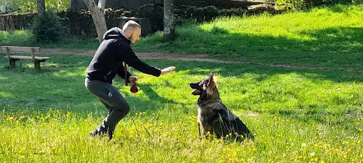 Léo&corso - Éducation & Comportementalisme Canin - Seine Saint Denis 93