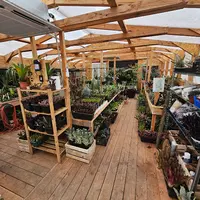 Junglebox Serre Plantes Tropicales et Boutique en Ligne