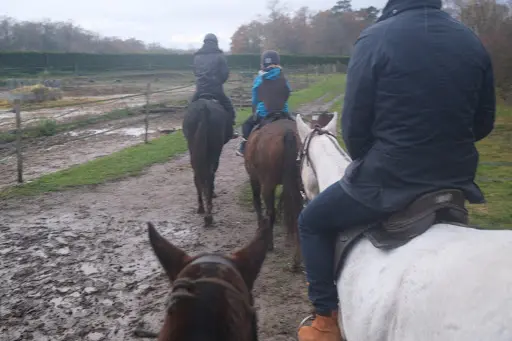 Balades À Cheval À Chantilly