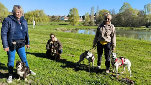 Milie Knid - Éducateur et Comportementaliste Canin À Chartres, Dourdan et Rambouillet