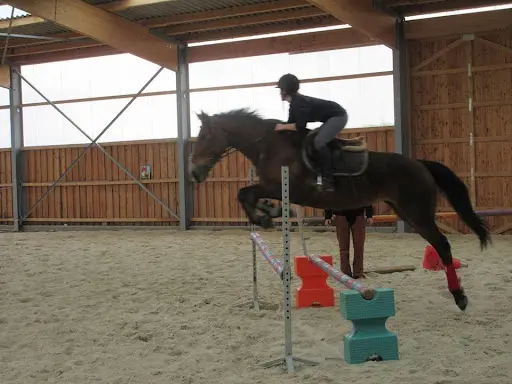 Belle Vue Equitation