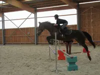 Belle Vue Equitation