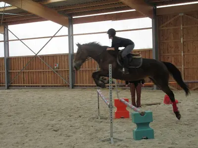 Belle Vue Equitation